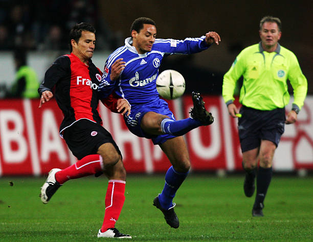 新的活力 新的活力