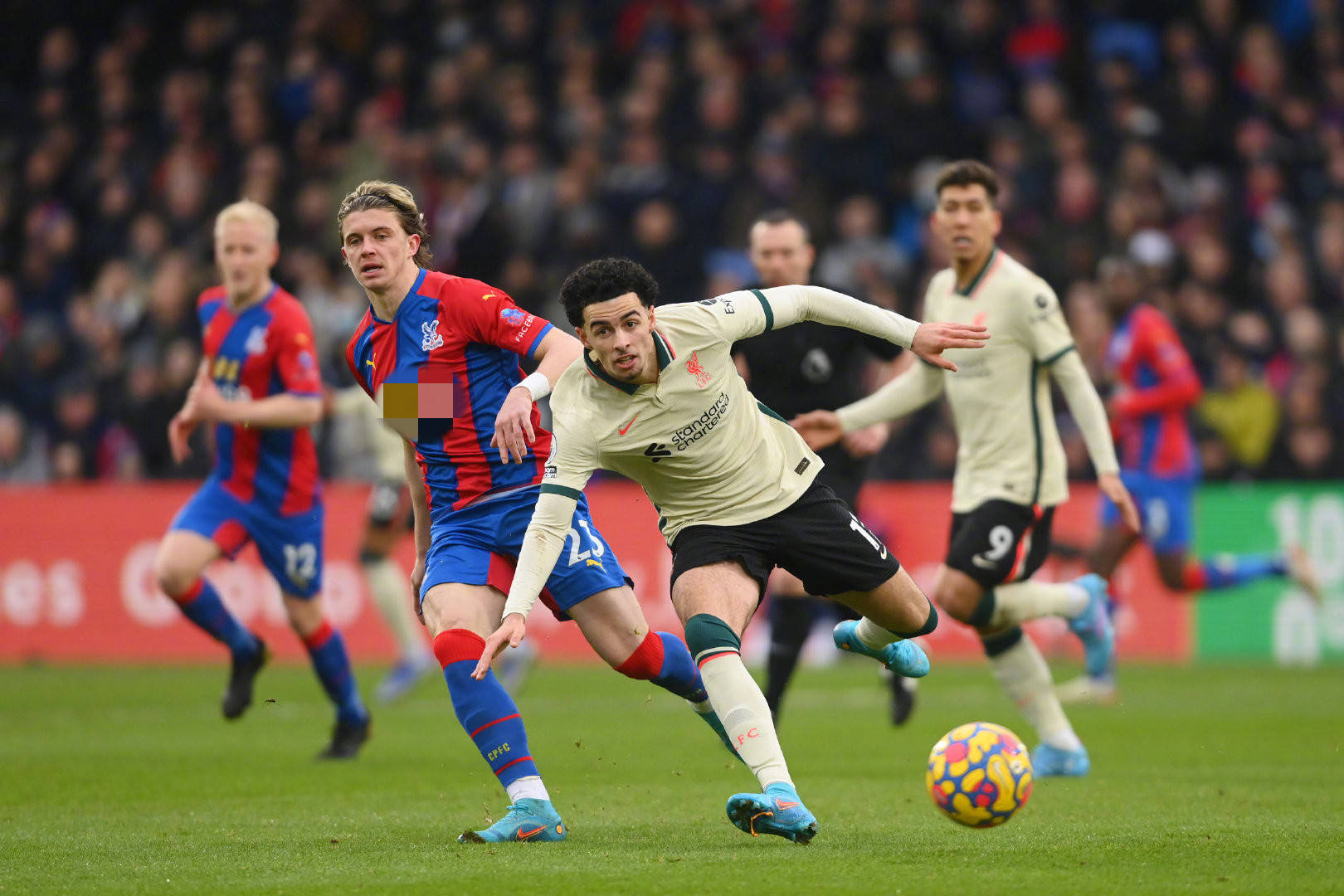 不仅实现了 不仅实现了